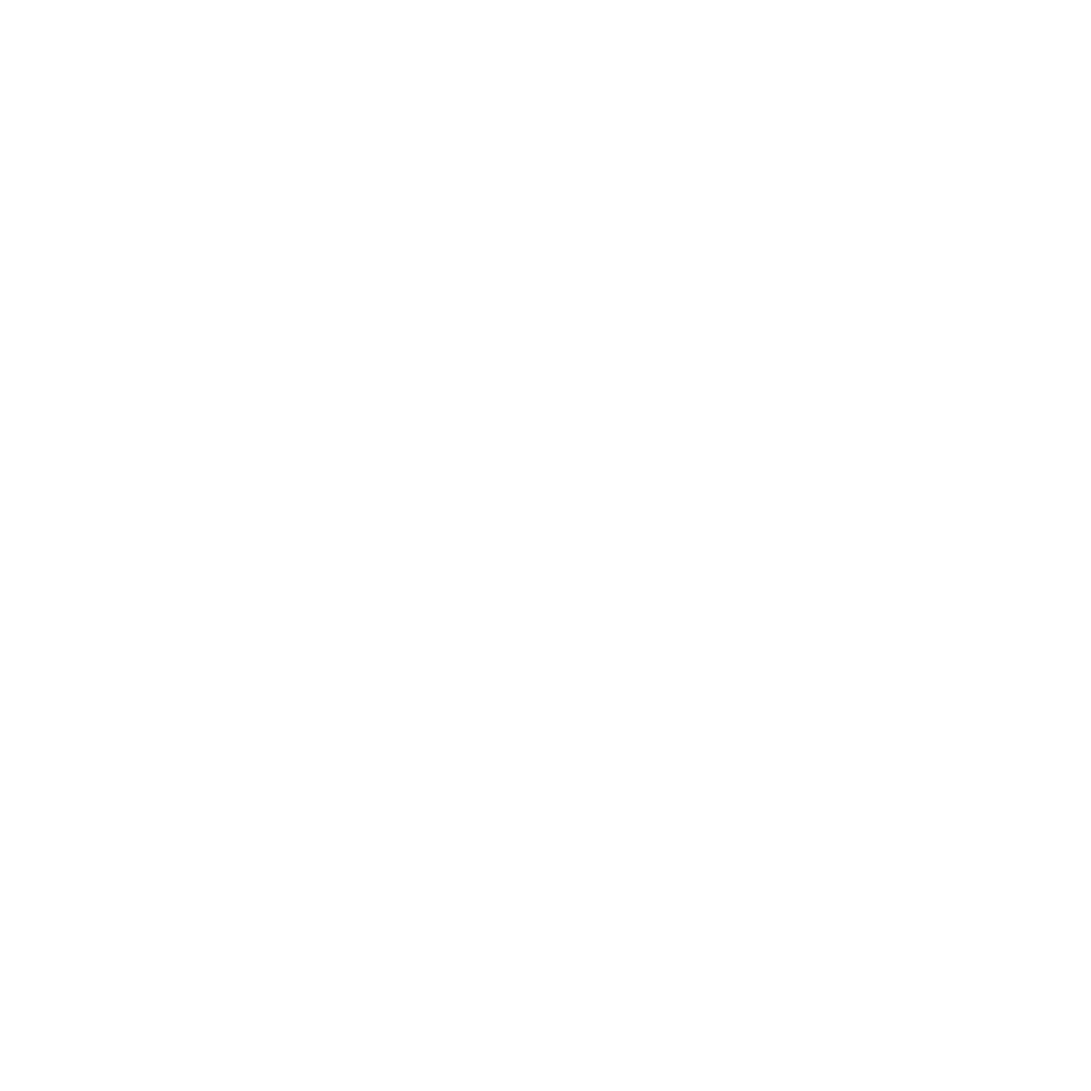Furi